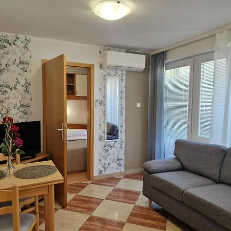 Modern Eingerichtete Ideal Fuer Junge Paaren Im Zentrum Von Apartment
